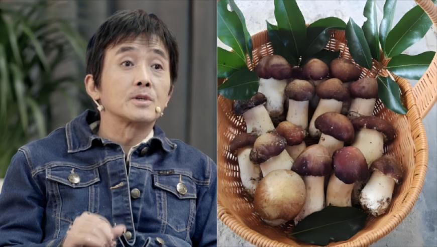 黄雀开始上尺度了,黄大仙三期必出一期吗,创新典义解读_入门版V15.80